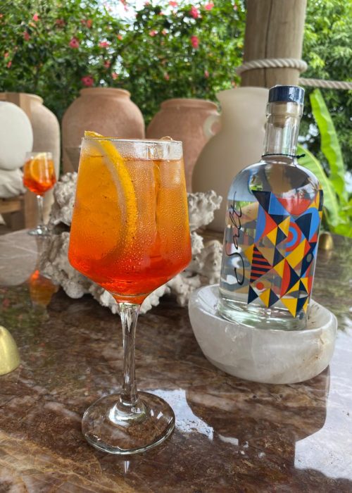 ginsalt-2